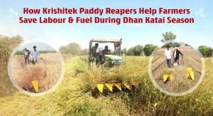 Paddy Reaper