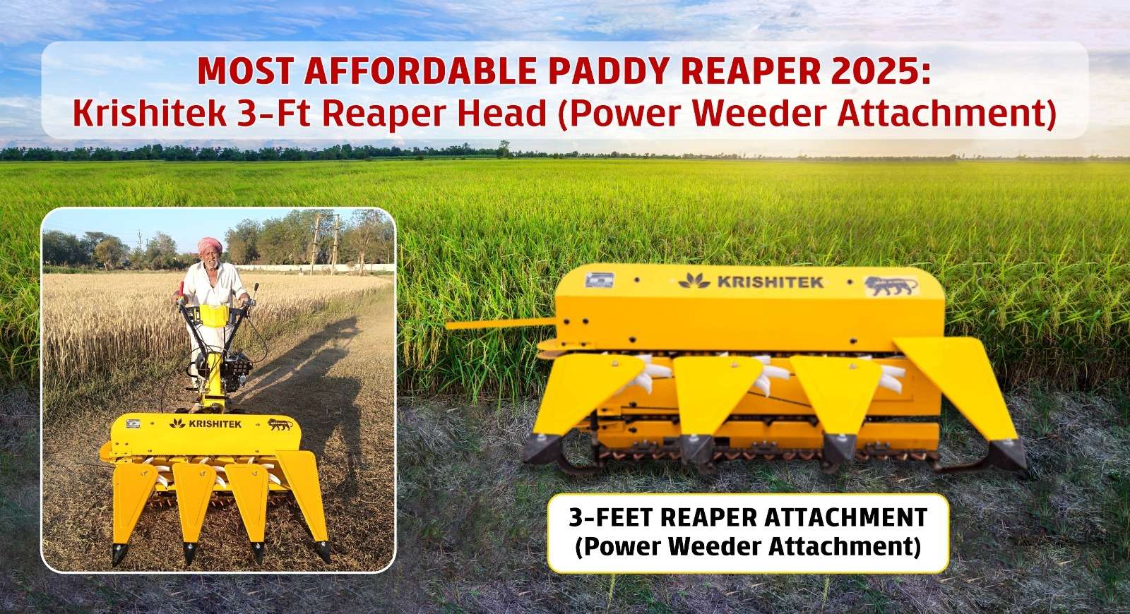 Paddy Reaper